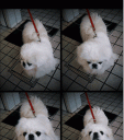 QuadCamera