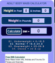 Adult BMI Calc
