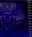 Spectrogram