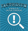 Factoidium