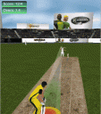 Cricket Game