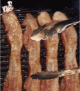 iBacon