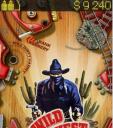 Wild West Pinball