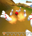 Downhill Bowling