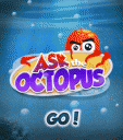 Ask the Octopus