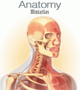 Miniatlas Anatomy