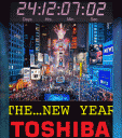 Times Square 2011 Countdown