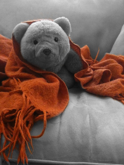 ColorBlast! Demo with Teddy Bear Photo