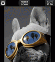 Color Effects Pro - recolor/splash colors on images and Facebook photos