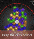 Cell Bound